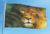 Bandeira Leão Universo - comprar online