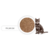 Wondercat - Recarga Bidón (Flores Suaves) 4KG en internet