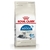 Royal Canin Indoor 7+ para Gato