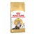 Royal Canin - Persian Adulto