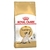 Royal Canin - Siamese Adulto