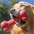 Kong - Goodie Bone - comprar online