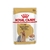 Royal Canin - Pouch Yorkshire Terrier Adulto
