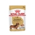 Royal Canin - Pouch Dachshund Adulto