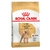 Royal Canin Caniche Adulto
