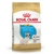 Royal Canin Bulldog Frances Puppy