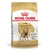 Royal Canin Bulldog Frances Adulto