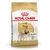 Royal Canin Pug Adulto