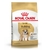 Royal Canin Bulldog Adulto