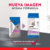 Excellent - Kitten para Gato - comprar online