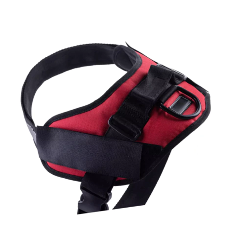 Arnés de paseo regulable
