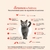 Serenex Spray Felino en internet