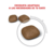 Royal Canin - Urinary Care - comprar online