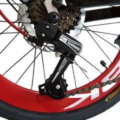 SBK BICICLETA Plegable Lara rodado 20 
