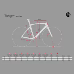 Cuadro CEEPO Stinger 2022