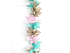 Imagen de Boa Friselina