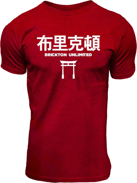 Remera De Algodon Brickton Unlimited - comprar online