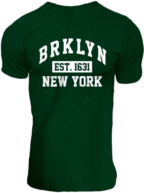Remera Brickton Broocklyn New York Verde