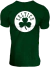 Remera Brickton Celtics Verde