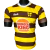 Camiseta de Belgrano marca Flash con Sponsor
