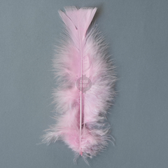 Plumas Art 156 Cbx De 17 Cm X 9 Gramos - 50 Unid Aproxim - tienda online