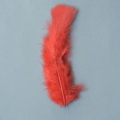 Plumas Art 156 Cbx De 17 Cm X 9 Gramos - 50 Unid Aproxim - CASA JORGE