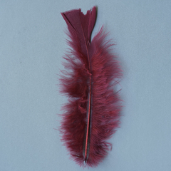 Plumas Art 156 Cbx De 17 Cm X 9 Gramos - 50 Unid Aproxim - comprar online