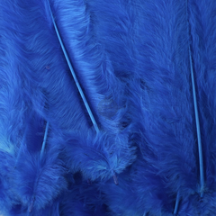 Plumas Art 156 Cbx De 17 Cm X 9 Gramos - 50 Unid Aproxim