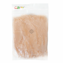 Plumas Art 156 Cbx De 17 Cm X 9 Gramos - 50 Unid Aproxim - tienda online