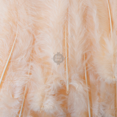 Imagen de Plumas Art 156 Cbx De 17 Cm X 9 Gramos - 50 Unid Aproxim