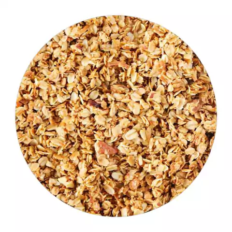 GRANOLA 500 Gr - comprar online