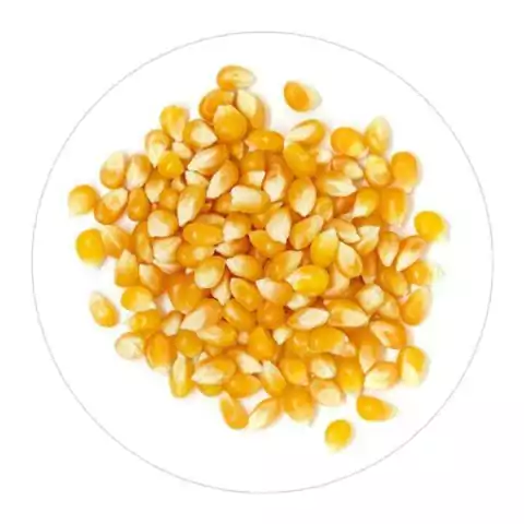 Maiz Pisingallo 500gr - comprar online