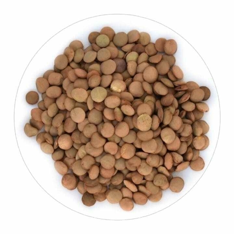 Lentejon 500gr - comprar online