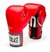66Guantes de Boxeo Everlast Pro Style - tienda online