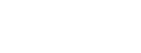 VIRU SHOES