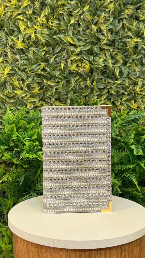 Bíblia Estudo Mulher Sábia