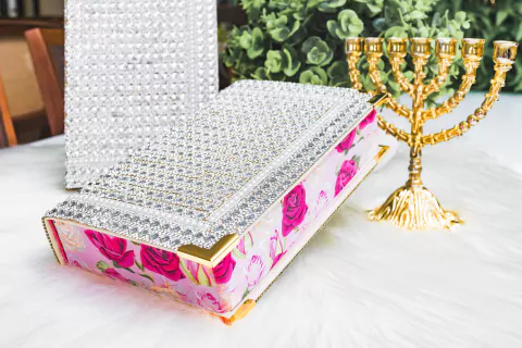 BÍBLIA GG23X14,5 LETRA JUMBO- lateral florida - comprar online