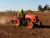 TRACTOR STARK 25HP 2WD AGRICOLA - comprar online