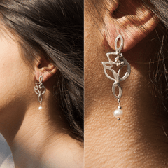 Aros AMAZONAS 02