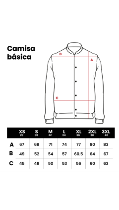 Camisa Regular