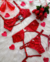 CONJUNTO REBECA