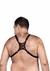 HARNESS LUXO ONÇA - ÚNICO - loja online