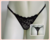 TANGA ROMANTICA - comprar online