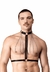HARNESS BASIC COLEIRA TOP - ÚNICO