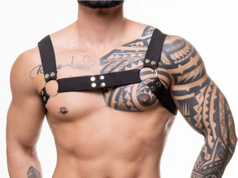 HARNESS ELASTICO PRETO COM ARGOLAS DETALHE BOTAO NIQUEL