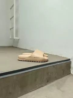 SUNSET ARENA en internet