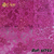 Tecido Renda Vegas Pink - loja online