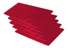 Kit 10 Colchonetes Gin�stica Academia 100x50x3cm Orthovida - Colchões Orthovida - Muito sonhos uma vida.