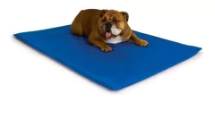 Colchão Alto Para Pet - Impermeável Cães E Gatos G