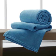 Manta De Microfibra Tamanho Casal 1,80 X 2,20 M Camesa - CORES SORTIDAS - comprar online